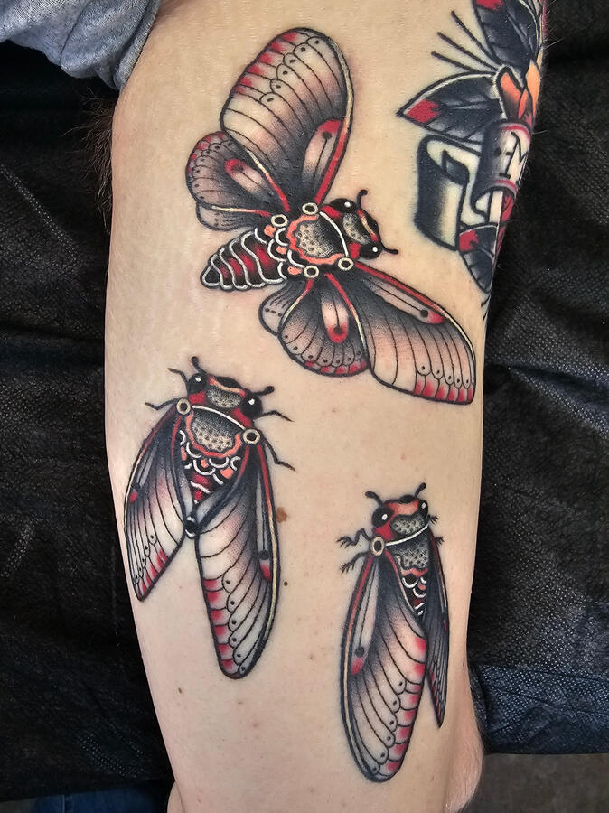 Tattoo by Doozer